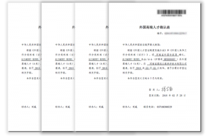 高遠(yuǎn)公司4名外聘專家獲河南省簽發(fā)首批《外國(guó)高端人才確認(rèn)函》